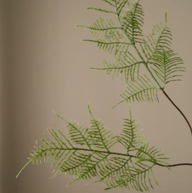 Hovedbilde Green Fern Leaves/ Botanè